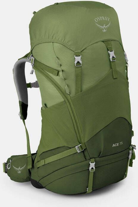 Osprey Ace 75 Kids Backpack Donkergroen/Middengroen