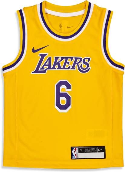 Nike Nba L.James Lakers Voorschools Jerseys/Replicas