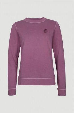 O'Neill sweater Beach Wash Crew paars