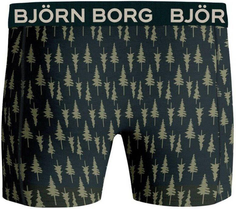 Bjorn Borg Boxershorts Core Boxer 2P Groen