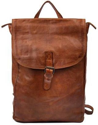 Bear Design CL 36502