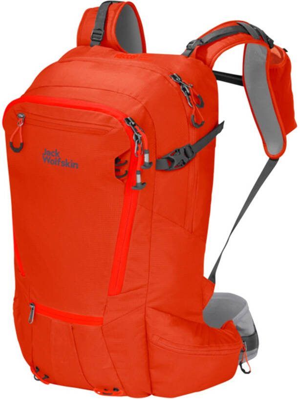 Jack Wolfskin Alpspitze Pack 32 wild brier backpack